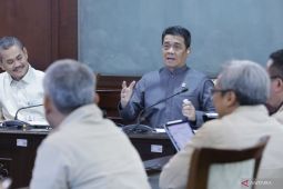 Wamendes minta IAI buat desain pengembangan desa