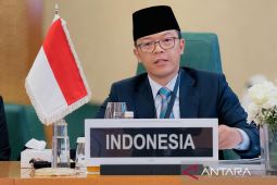 Menlu Sugiono: Indonesia siap dukung pemulihan gempa Myanmar-Thailand