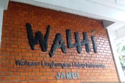 WALHI: banjir Kota Jambi akibat daerah resapan air berkurang