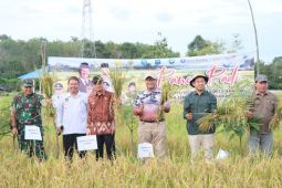 Kadivyankum Kemenkum Babel hadiri Murok Jerami di Desa Namang