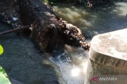 Efisiensi, Pemkab Mukomuko batalkan rehabilitasi irigasi di 3 titik