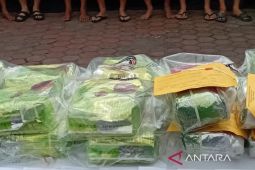 Polda Sumut tangkap 133 tersangka kasus narkoba  awal Maret 2025