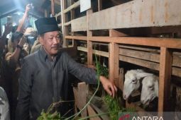 Baznas RI resmikan Balai Ternak  Lumbung Berkah Medikorejo bagi fakir miskin di Sleman