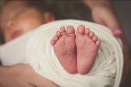 Bayi dua bulan di Semarang meninggal diduga dianiaya oknum polisi