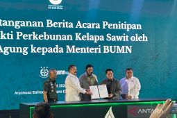 Kementerian BUMN terima 221 ribu hektar lahan sawit sitaan
