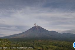 Semeru kembali alami erupsi dengan tinggi letusan hingga 1.100 meter