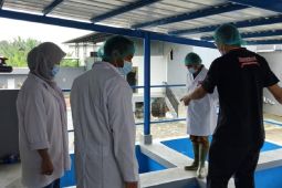Tempat pengolahan daging diinspeksi, pastikan kualitas sesuai regulasi