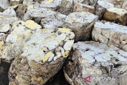 Ekspor karet Sumut capai 20.737 ton pada Februari  2025