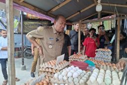 Bupati Langkat sidak pasar Tanjungpura pastikan harga sembako stabil
