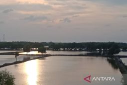 Pemkab Indramayu menyiapkan 1.000 ha lahan revitalisasi tambak Pantura