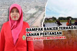 Dampak banjir terhadap lahan pertanian dan strategi mitigasinya