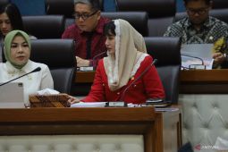 DPR minta pemerintah berinovasi dalam kebijakan kembangkan sektor pariwisata