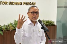 Zulhas optimistis tahun depan Indonesia tak impor beras lagi