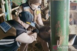 Karantina Kalsel awasi komoditas di pelabuhan guna cegah OPTK/HPH
