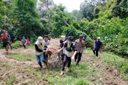 Sumbar evakuasi harimau yang masuk kandang jebak