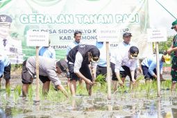 Pemkab Lamongan tanam padi musim kedua guna dukung swasembada pangan nasional