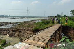 43,8 ton benih padi untuk petani terdampak banjir di Bekasi