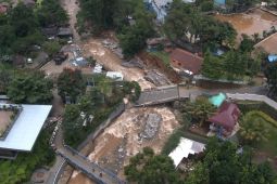 Forest Watch temukan kerusakan hutan di tiga hulu sungai