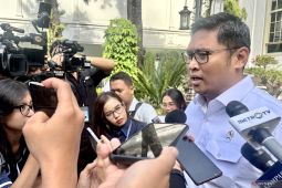 Wamentan lapor Presiden soal surplus beras dan Kopdes Merah Putih
