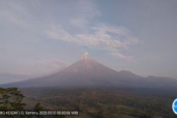 Semeru alami erupsi dengan letusan setinggi 1.000 meter