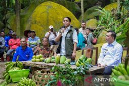 Kemarin, timsus untuk kaji penghambat investasi sampai kinerja APBN