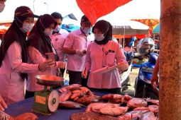 Mutu ikan Bengkulu memuaskan dan bebas formalin