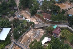Forest Watch Indonesia: Jabodetabek butuh ekosistem hutan sebagai penyangga