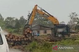 Dugaan pembalakan liar merajalela di Pangaribuan Tapanuli Utara