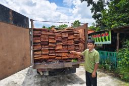 Brigade Beruang Kemenhut amankan pembalak liar di Suaka Margasatwa Kerumutan