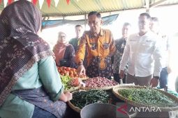 Wabup Bantul pantau stok dan harga kebutuhan pokok menjelang Lebaran