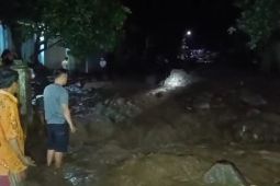 BPBD: Banjir di Bondowoso rusak sejumlah rumah dan jembatan antardusun