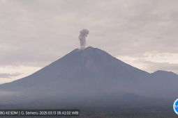 Semeru kembali alami erupsi lima kali pada Kamis pagi