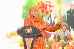 Khofifah: BUMDesa sektor pangan wujudkan kesejahteraan masyarakat