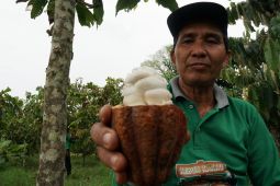 Berau jadi contoh pengelolaan perhutanan sosial Kaltim