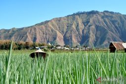 Wisata pendakian Gunung Rinjani 2025 dibuka