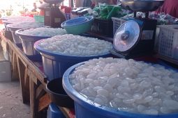 Ramadhan bawa berkah bagi perajin kolang-kaling Lebak