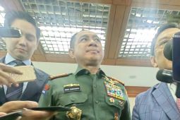Panglima sebut Dirut Bulog akan mundur dari kedinasan TNI