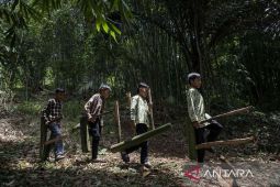 Permainan tradisional lori di Kabupaten Bandung Barat