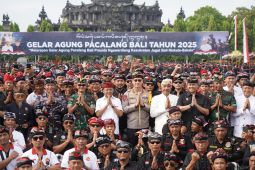 TNI dan pecalang amankan Bali saat Nyepi dan Idul Fitri