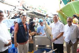 KKP cek ketersediaan ikan di Pelabuhan Karangsong Indramayu hadapi Lebaran