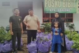 KPH Tabalong gencarkan revolusi hijau