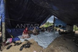 Korban banjir di Jambi harapkan bantuan