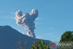 Gunung Marapi Sumbar terus tunjukkan aktivitasnya