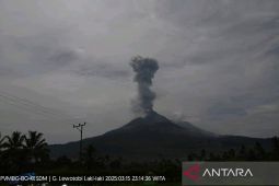 Lewotobi Laki-laki lima kali erupsi dalam enam jam