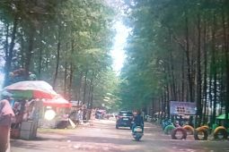 Pemkab Pasaman Barat gelar pesta pantai sambut kunjungan wisatawan libur lebaran 2025