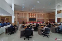 Wabup Debby sampaikan RPJMD Bangka Selatan tahun 2025-2029