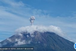 Semeru alami enam kali erupsi dengan tinggi letusan hingga 1 km