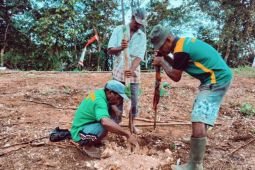Satgas TMMD Kodim 1708/BN bersama warga Kbusdori lakukan penyemprotan lahan