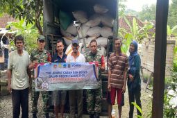 Pemkab Gunungkidul mengawal serapan gabah hasil panen oleh Bulog