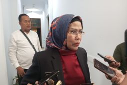 Bupati Ratu Tatu ajak masyarakat sukseskan PSU Pilkada Serang